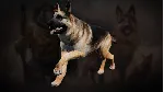 Icarus: Pet Companions Pack DLC АВТОДОСТАВКА STEAM РОССИЯ - irongamers.ru