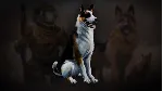 Icarus: Pet Companions Pack DLC АВТОДОСТАВКА STEAM РОССИЯ - irongamers.ru