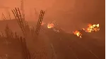 Dark Future: Blood Red States КЛЮЧ🔑 STEAM РФ+СНГ