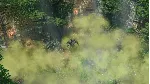 SpellForce 3: Fallen God КЛЮЧ🔑 STEAM РФ+СНГ