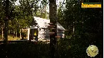 Morels: The Hunt 2 💎 АВТОДОСТАВКА STEAM GLOBAL МГНОВЕННО ЛИЦЕНЗИЯ