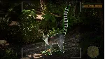 Morels: The Hunt 2 💎 АВТОДОСТАВКА STEAM GLOBAL МГНОВЕННО ЛИЦЕНЗИЯ