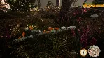 Morels: The Hunt 2 💎 АВТОДОСТАВКА STEAM GLOBAL МГНОВЕННО ЛИЦЕНЗИЯ