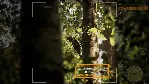 Morels: The Hunt 2 💎 АВТОДОСТАВКА STEAM GLOBAL МГНОВЕННО ЛИЦЕНЗИЯ