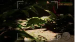 Morels: The Hunt 2 💎 АВТОДОСТАВКА STEAM GLOBAL МГНОВЕННО ЛИЦЕНЗИЯ