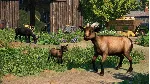 Planet Zoo: Barnyard Animal Pack * RU/KZ/СНГ/TR/AR - irongamers.ru
