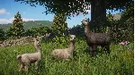 Planet Zoo: Barnyard Animal Pack * RU/KZ/СНГ/TR/AR - irongamers.ru