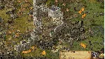 Stronghold Definitive Edition - Valley of the Wolf Camp АВТОДОСТАВКА STEAM РОССИЯ - irongamers.ru