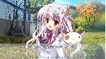 Mashiroiro Symphony HD -Love is Pure White- STEAM - irongamers.ru