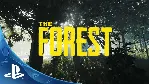 💳 The Forest (PS4/PS5/Eng) Активация П2-П3