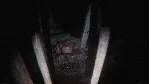 The Cursed Tape * STEAM RU ⚡ АВТО 💳 0%