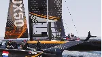 Hydrofoil Generation (steam key)