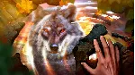 Связанные Любовью Проклятие Полной Луны Microsoft Store - irongamers.ru