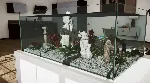 ⭐Aquarium in Cafe XBOX⭐На Любой аккаунт⭐ - irongamers.ru