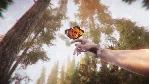 The Forest Cathedral (steam key)