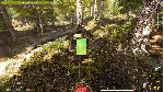 Forest Ranger Simulator (steam key)