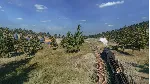 Railway Empire 2 (steam key)