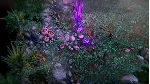 ⚡ Pathfinder: Kingmaker - Enhanced / STEAM КЛЮЧ СРАЗУ⚡ 