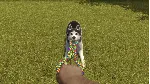 House Flipper Pets DLC License (steam key) DLC