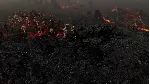 Welcome to ParadiZe ParadiZe Zombot Skin (steam) DLC
