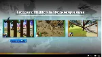 DRAGON QUEST TREASURES Digital Deluxe / STEAM КЛЮЧ - irongamers.ru