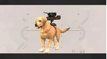 METAL DOGS NEW DOG ADDITION:LABRADOR RETRIEVER DLC - irongamers.ru
