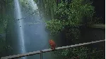 STRAY STEAM ГАРАНТИЯ АВТОВЫДАЧА