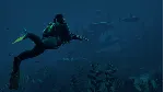Rust - STEAM Gift - (лицензия на Ваш аккаунт) - Region RU+CIS+UA - irongamers.ru
