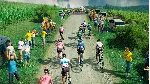 Tour de France 2024 Xbox Series X|S активация - irongamers.ru