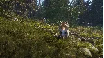 theHunter: Call of the Wild™ - Sundarpatan Hunting Rese - irongamers.ru