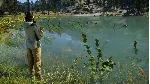 Call of the Wild: The Angler™ – LakePal Bait Boat Pack - irongamers.ru