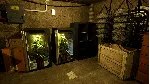 Drug Dealer Simulator 2 * STEAM RU ⚡ АВТО 💳 0%