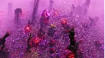 The Riftbreaker: Heart of the Swamp DLC STEAM ⚡ ️АВТО