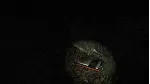 White Noise Online / Steam Gift / Все страны