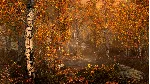 The Elder Scrolls V: Skyrim Special Edition | Steam - irongamers.ru