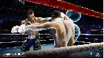 Creed: Rise to Glory для Pico VR - irongamers.ru