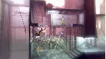 🍌 My Friend Pedro XBOX КОД КЛЮЧ🔑 