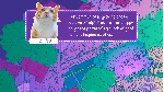 Stray Cats in Cozy Town: Night Lights DLC STEAM РОССИЯ