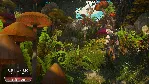 The Witcher 3: Wild Hunt - Expansion Pass {Steam/РФ} - irongamers.ru