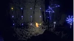 The Forest Quartet КЛЮЧ🔑 STEAM ВСЕ СТРАНЫ
