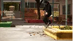DLC Session: Skate Sim - Schoolyard КЛЮЧ🔑 STEAM ВСЕ СТ