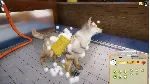 Animal Shelter КЛЮЧ STEAM ВСЕ СТРАНЫ - irongamers.ru