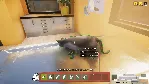 Animal Shelter КЛЮЧ STEAM ВСЕ СТРАНЫ - irongamers.ru