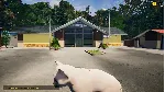 DLC Animal Shelter - Puppies & Kittens DLC КЛЮЧ STEAM - irongamers.ru