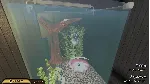 Pets Hotel КЛЮЧ🔑 STEAM ВСЕ СТРАНЫ