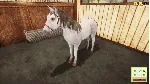 DLC Animal Shelter - Horse Shelter DLC КЛЮЧ STEAM - irongamers.ru