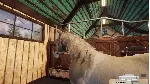 DLC Animal Shelter - Horse Shelter DLC КЛЮЧ STEAM - irongamers.ru