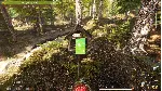 Forest Ranger Simulator КЛЮЧ🔑 STEAM ВСЕ СТРАНЫ