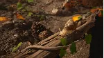 Empire of the Ants * RU/KZ/СНГ/TR/AR * STEAM 🚀 АВТО
