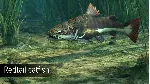 DLC Ultimate Fishing Simulator - Amazon River КЛЮЧ - irongamers.ru